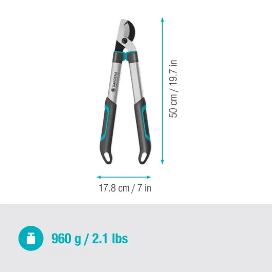 TH-201813.webp
