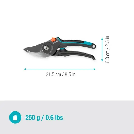 UN-246330.webp