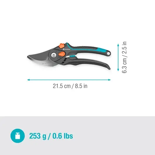 MA-388452.webp